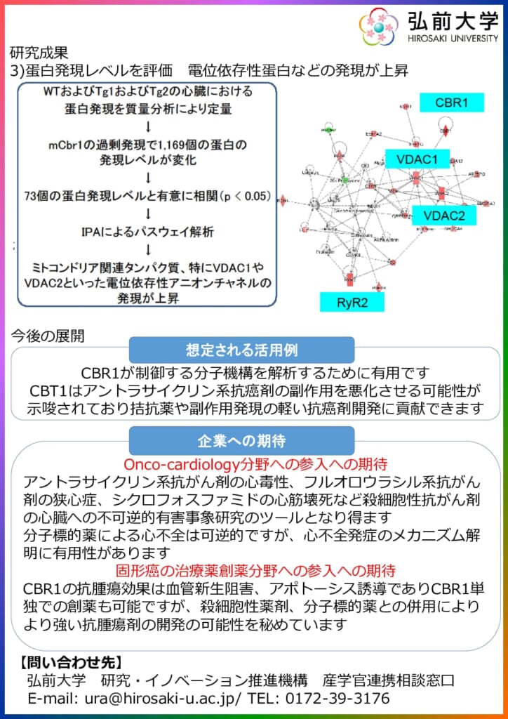 2022イ mCBR1を過剰発現するトランスジェニックマウス - 弘前大学東京